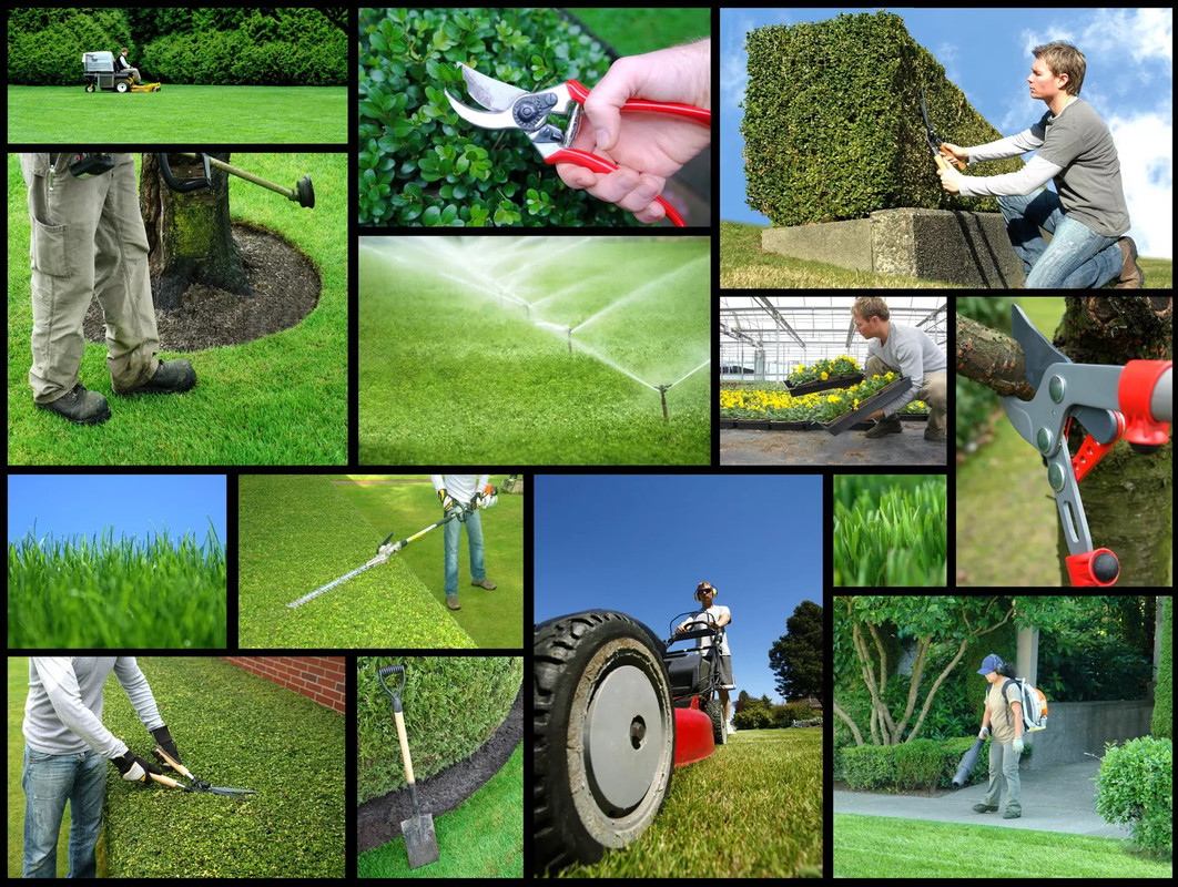 Gardening Services