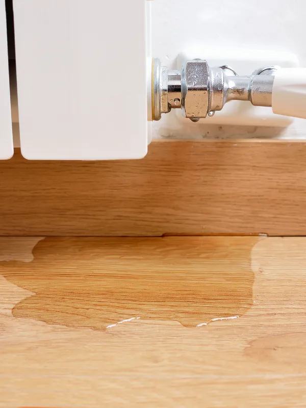 Leak Ops LLC: Pioneering Leak Detection Solutions in Tampa